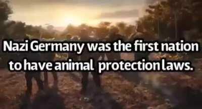 day #1 of posting porn while socially acceptable until I run out of videos