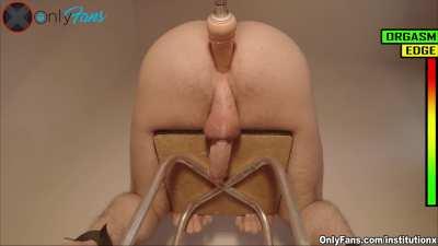 💦ANAL PROSTATE ORGASM BLUEPRINT💦 👇link in the comment👇