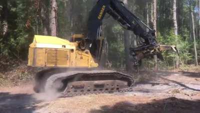 2011 TIGERCAT 860C TRACK FELLER BUNCHER