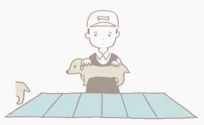 Создание такс.