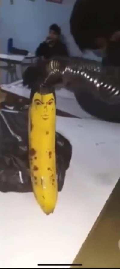Losercity banana