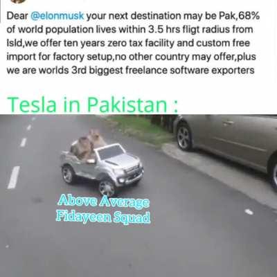 Tesla🇵🇰🦆.