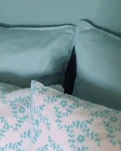 When you peek into the void, void peeks into You