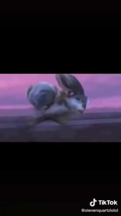 She posts furry shit all the time.