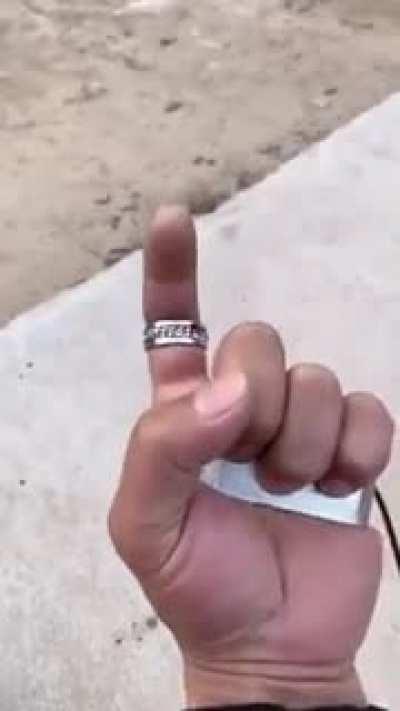 The F5 race is about to start...