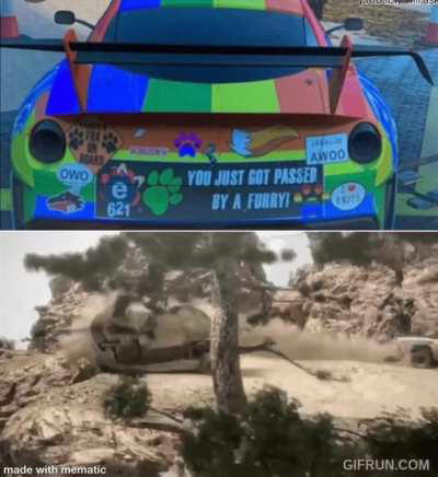 (I have nothing against furries but these types seem annoying AF)