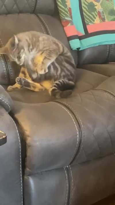 I was told this belongs here! Monday mornings are confusing!