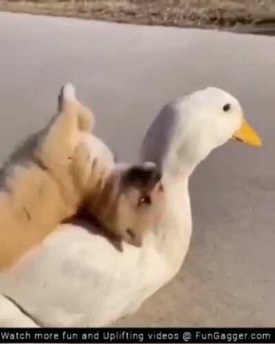 A little something to Brighten your weekend