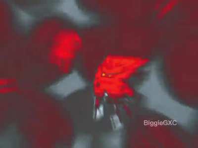 me when the Optimistic outro comes on...