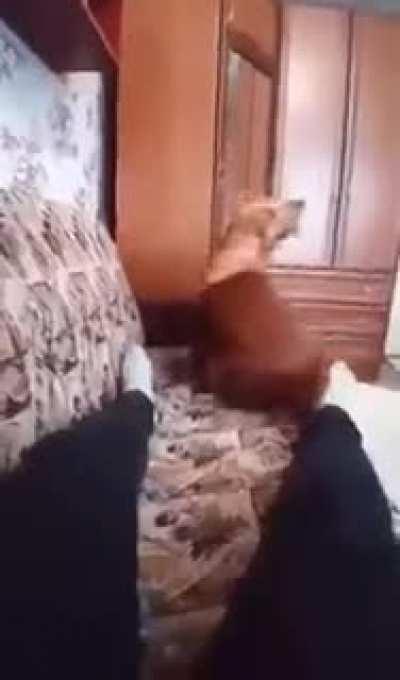 Make yourself comfortable.