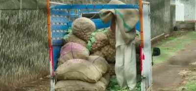 Mickey Aurther after this loss .........