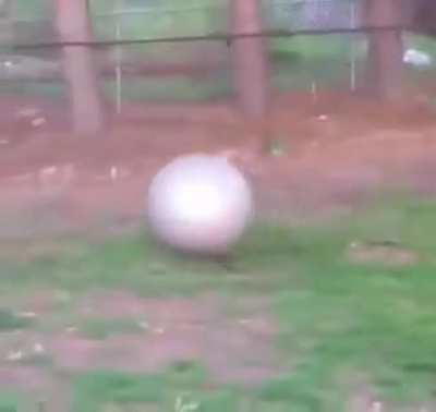 Fetch like nobody is watching