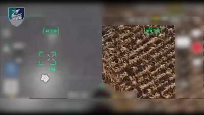 Ukraine's 36th Marine Brigade drone pilots eliminate a dozen Russian infantry, Kursk region. Published November 14, 2024