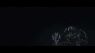 One of my personal favorite scenes in The Last Jedi is the force montage in Rey´s first lesson