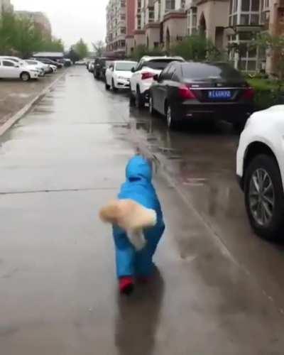 Water (resistant) Dog!