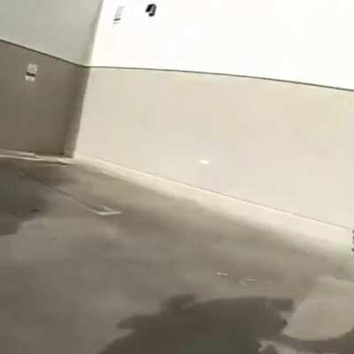 [USA] Convenient cop on completely unrelated call catches a shoplifter exiting through the back of a business.