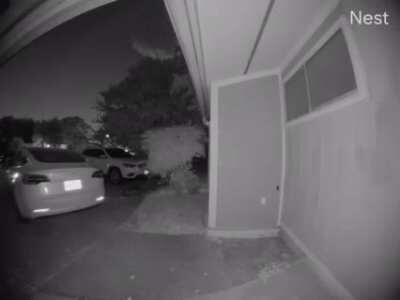 10/19/2020 Irving Tx approx 8:30pm (I don’t own video, via coworkers son) Nest Cam footage, motion activated.