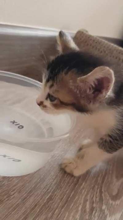 Illegally small bleps and mlems