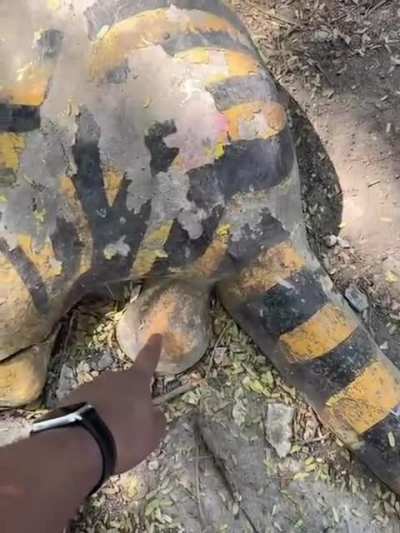 Ты чё творишь?!