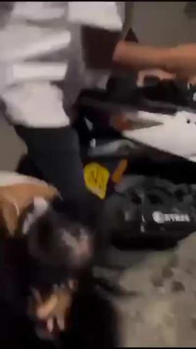 Two girls fight in Medellin, Colombia