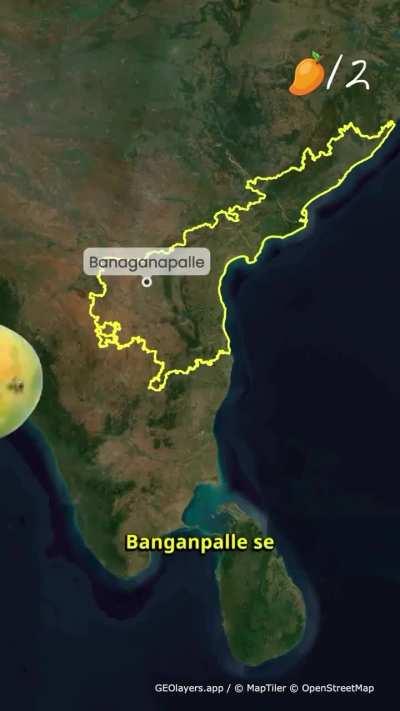 Aaj Maine Jaana, Varieties of Mangoes available in India