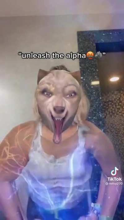 This is getting to stupid amounts of stupidity (like this title)