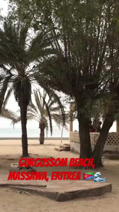 Gurgussom beach Massawa, Eritrea 🇪🇷🌴🌊