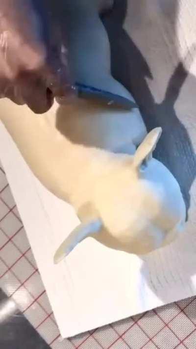 This hyperrealistic cake looks too real.