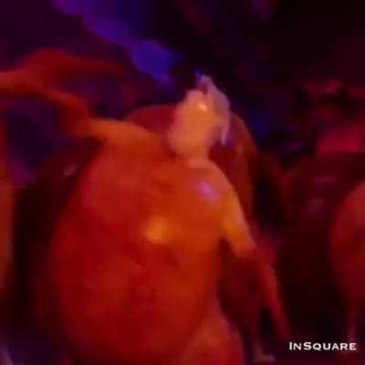 We love the chicken dance