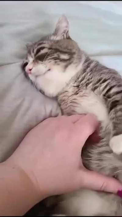 This one's suit was damaged upon entry