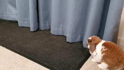 When curtains are life