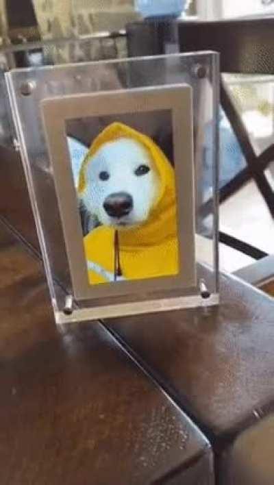 The best smile in the world!