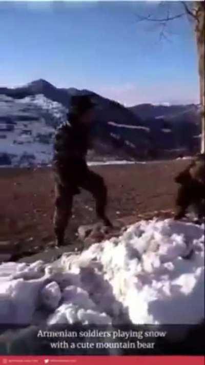 Cute video of Armenian soldiers playing with bears