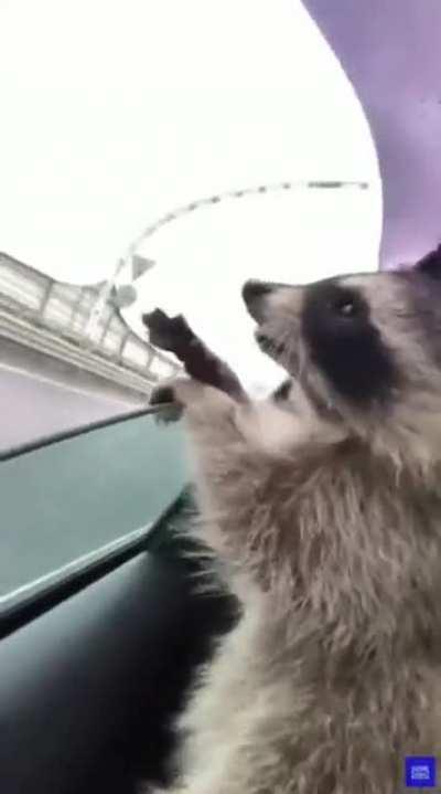 Как поймать воздух