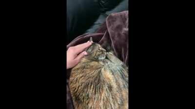 Just found out this is called trilling!