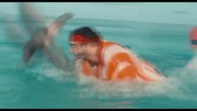 Kıllı adam fetocu köpekbalığını yok ediyor