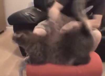 Terracid: Lance un live pour PB. Le live 5 minutes après: