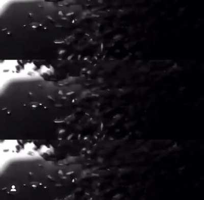 Taking this video posted by Team SA with a grain of salt but who knows? They got the poster leak