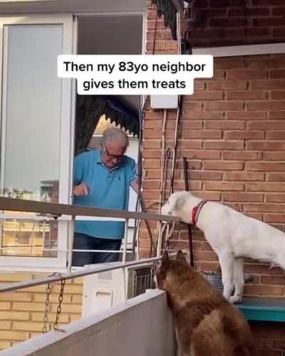 Well this is just adorable