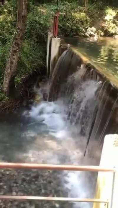 Nice place to have enjoyment