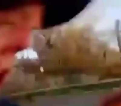 a literal fever dream