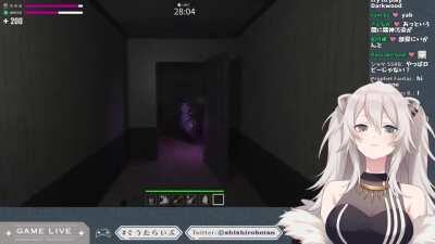 Two different types of horror game players