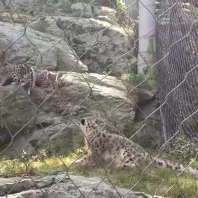 Jeez you gave me the big startle!