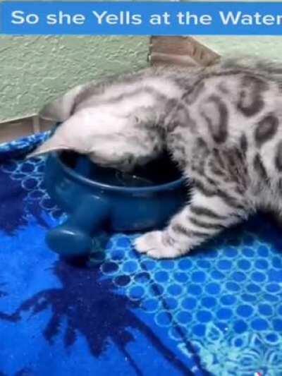 How Dare you even Exist Water!