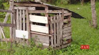 Everybody, remember to take time for self-care and calm this weekend.