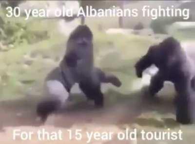 albanians down astronomically🤢🤢🤢🇦🇱🇦🇱