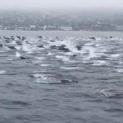 For future reference