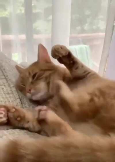 Betrayed by his own relexes