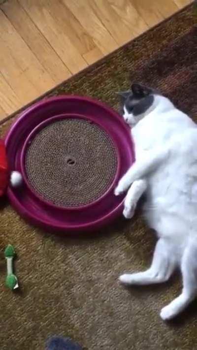 This is one of the laziest things I've ever seen.