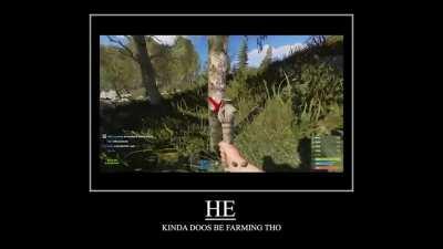 tree: *exists* rust youtubers: